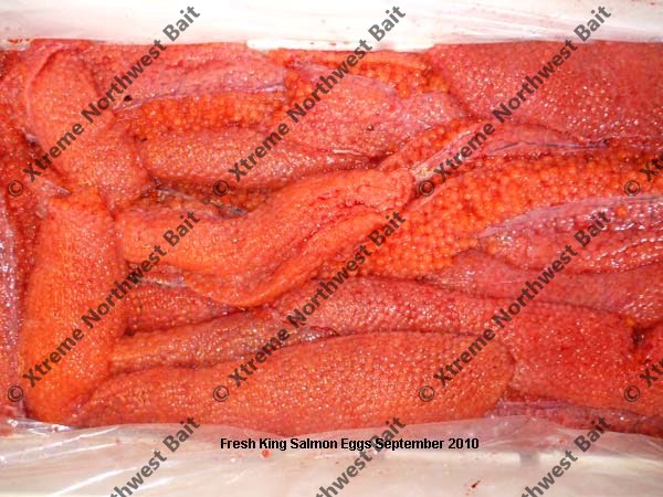 Fresh Salmon Egg, Fresh Salmon Roe, Xtreme Northwest Bait Co